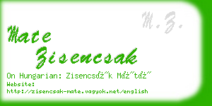 mate zisencsak business card